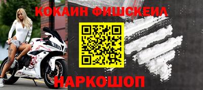 молекула духа Камышлов