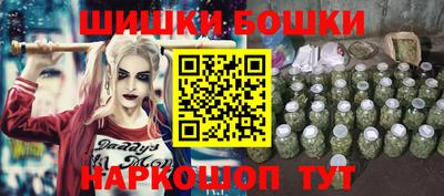 молекула духа Камышлов