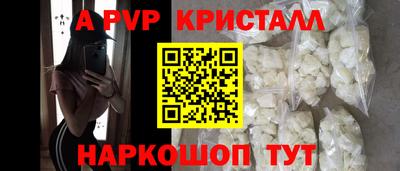 молекула духа Камышлов