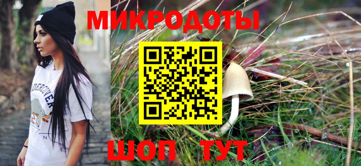 Миллерово  Псилоцибиновые грибы мицелий  Вход с VPN  Галлюциногенные грибы Psilocybine cubensis 