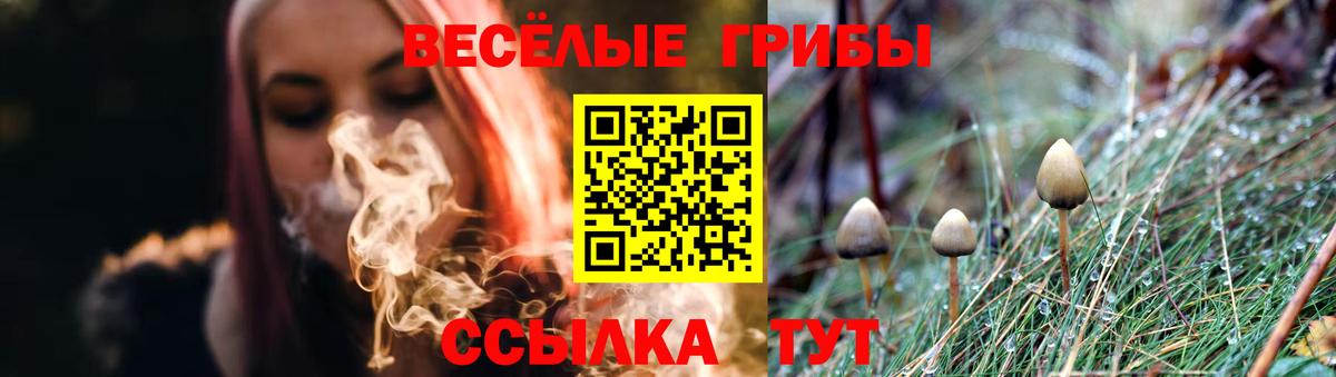 Псилоцибиновые грибы Psilocybine cubensis Миллерово
